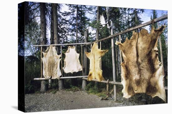 Hides Stretched over Wooden Racks for Tanning. Alaska (PR)-Angel Wynn-Premier Image Canvas