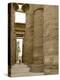 Hieroglyphic covered columns in hypostyle hall, Karnak Temple, East Bank, Luxor, Egypt-Cindy Miller Hopkins-Premier Image Canvas