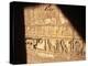 Hieroglyphics on Entrance to the Temple of Karnak-Mark Hannaford-Premier Image Canvas