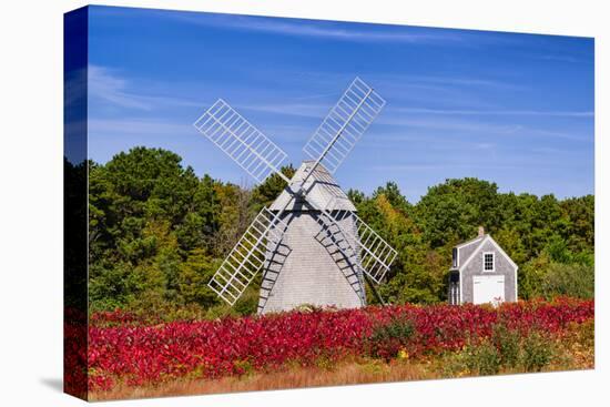 Higgins Farm Windmill-Michael Blanchette-Premier Image Canvas