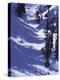 High Angle View of a Man Skiing-null-Premier Image Canvas