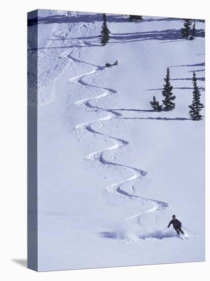 High Angle View of a Man Skiing-null-Premier Image Canvas