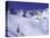 High Angle View of a Ski Slope-null-Premier Image Canvas