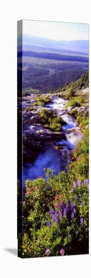 High Angle View of a Waterfall, Ribbon Falls, Yosemite National Park, California, USA-null-Premier Image Canvas