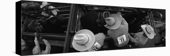 High Angle View of Cowboys with Horses at Rodeo, Wichita Falls, Texas, USA-null-Stretched Canvas