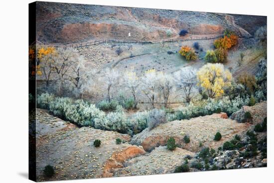 High Angle View Of The Colors In The Canyon De Chelly-Ron Koeberer-Stretched Canvas