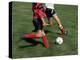 High Angle View of Two People Playing Soccer-null-Premier Image Canvas