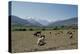 High Atlas, Morocco-Vivienne Sharp-Premier Image Canvas