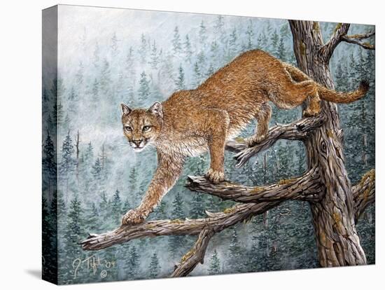 High Climber-Jeff Tift-Premier Image Canvas