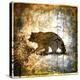 High Country Bear-LightBoxJournal-Premier Image Canvas