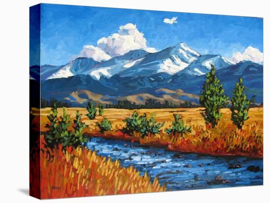 High Country Creek, Colorado-Patty Baker-Stretched Canvas