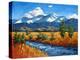 High Country Creek, Colorado-Patty Baker-Stretched Canvas