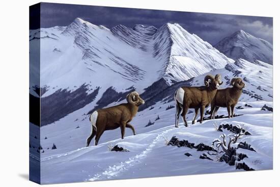 High Country Rams-Wilhelm Goebel-Premier Image Canvas