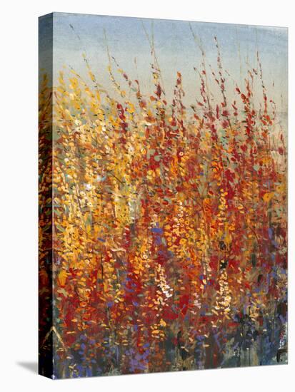 High Desert Blossoms II-Tim O'toole-Stretched Canvas