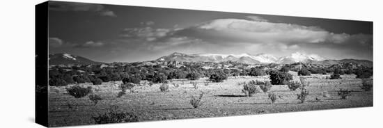 High Desert Plains Landscape with Snowcapped Sangre De Cristo Mountains in the Background-null-Stretched Canvas