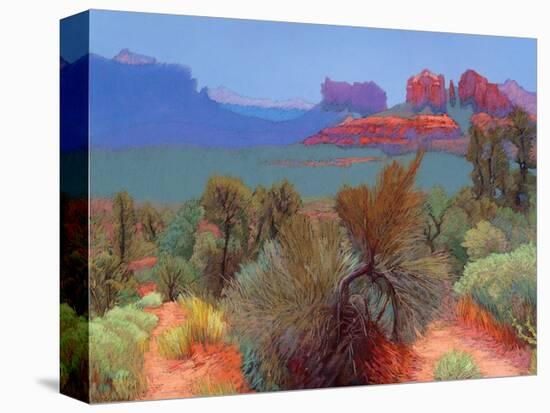 High Desert-Mary Silverwood-Stretched Canvas