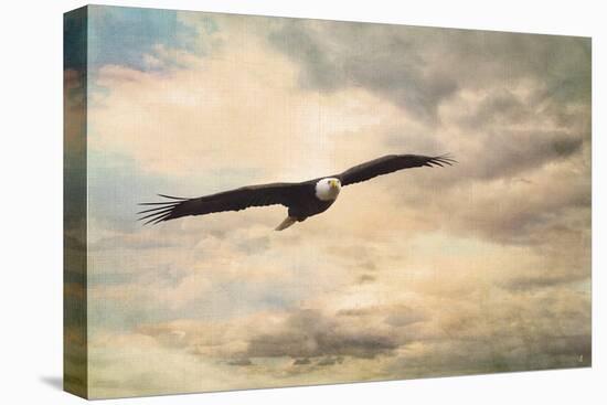 High Flyer Bald Eagle-Jai Johnson-Premier Image Canvas