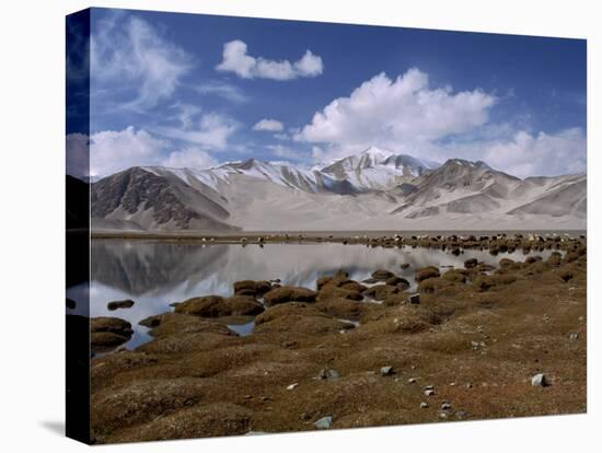 High Mountain Lake and Mountain Peaks, Beside the Karakoram Highway, China-Alison Wright-Premier Image Canvas