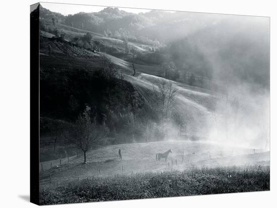 High Pasture-Andrew Geiger-Stretched Canvas