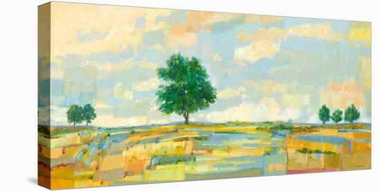 High Plains-Hazel Barker-Stretched Canvas