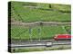 High Speed Train by Rhineland Vineyards, Koblenz, Germany-Miva Stock-Premier Image Canvas