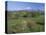 High Tatra Mountains from Near Poprad, Slovakia-Upperhall-Premier Image Canvas