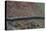 High View of Stone Wall-Clive Nolan-Premier Image Canvas