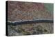 High View of Stone Wall-Clive Nolan-Premier Image Canvas