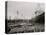 High Water at New Orleans, La., Levee, March 21, 1903-null-Stretched Canvas