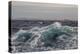 High Winds and Heavy Seas on Approach to the New Island Nature Reserve, Falkland Islands-Michael Nolan-Premier Image Canvas