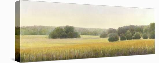 High Woods Field-Elissa Gore-Stretched Canvas