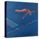Highboard Diver-Patti Mollica-Premier Image Canvas