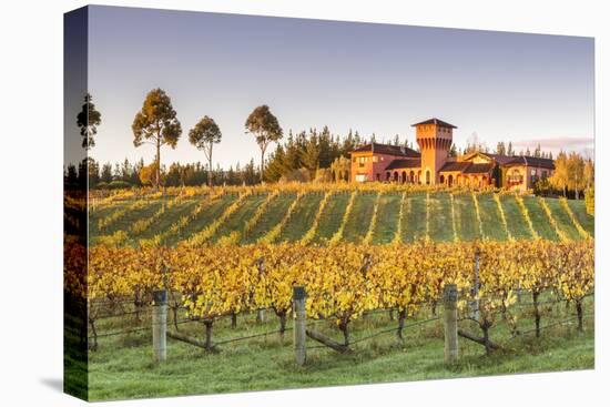 Highfield Estate Winery and Vineyards, Waihopai Valley, Blenheim, Marlborough, South Island-Matteo Colombo-Premier Image Canvas
