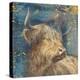 Highland Bull-Dina Peregojina-Stretched Canvas
