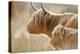 Highland Cattle Adult with Young-null-Premier Image Canvas