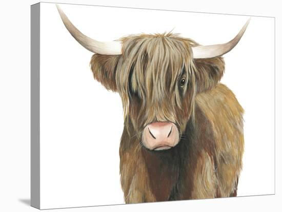 Highland Cattle II-Grace Popp-Stretched Canvas