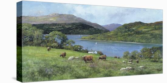 Highland Cattle-Clive Madgwick-Stretched Canvas