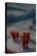 Highland Cattle-Lee Campbell-Premier Image Canvas