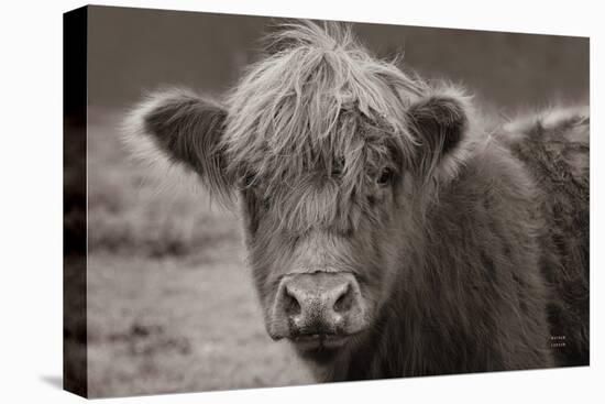 Highland Cow Do Neutral-Nathan Larson-Premier Image Canvas