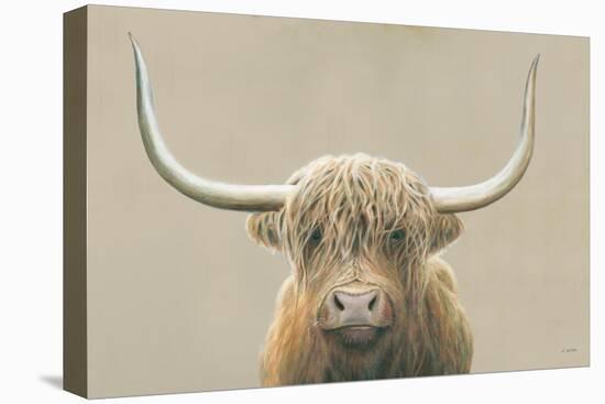 Highland Cow Neutral-James Wiens-Stretched Canvas