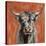 Highland Cow on Terracotta-Silvia Vassileva-Stretched Canvas