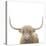 Highland Cow Sepia Sq-James Wiens-Stretched Canvas