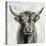 Highland Cow-Silvia Vassileva-Stretched Canvas