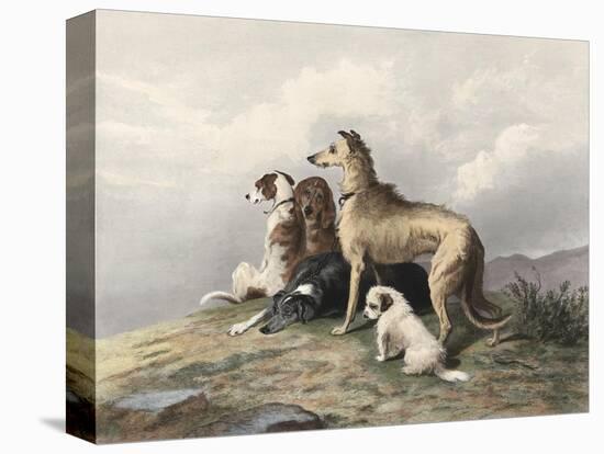 Highland Dogs-Edwin Henry Landseer-Stretched Canvas