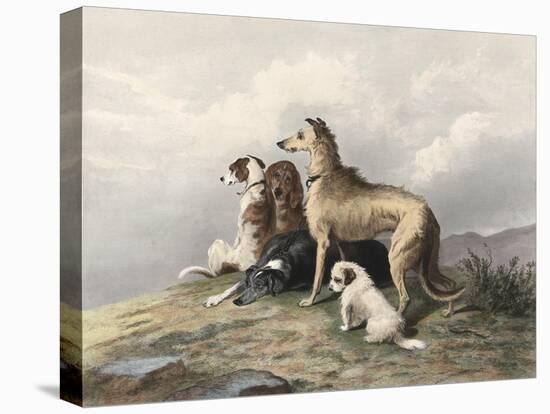 Highland Dogs-Edwin Henry Landseer-Stretched Canvas