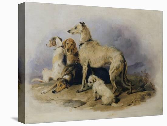 Highland Dogs-Edwin Henry Landseer-Premier Image Canvas