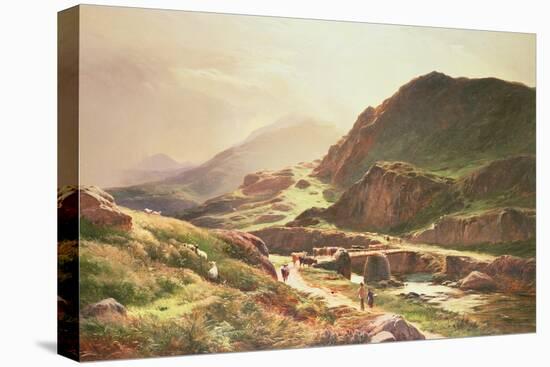 Highland Scene-Sidney Richard Percy-Premier Image Canvas