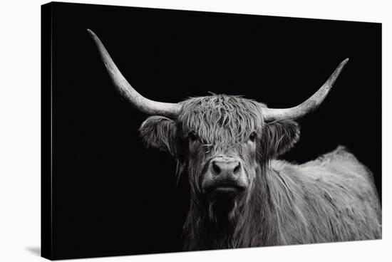 Highland Spirit-Bill Philip-Stretched Canvas