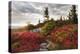 Highland Trail-Danny Head-Premier Image Canvas