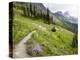Highline Trail To Granite Park Chalet, Glacier National Park, Montana, USA-Jamie & Judy Wild-Premier Image Canvas
